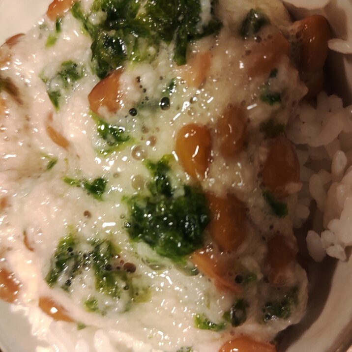 あおさと長芋と納豆かけご飯 レシピ 作り方 By とうすけ 楽天レシピ あおさと長芋と納豆かけご飯 レシピ 作り方 By とうすけ 楽天レシピ